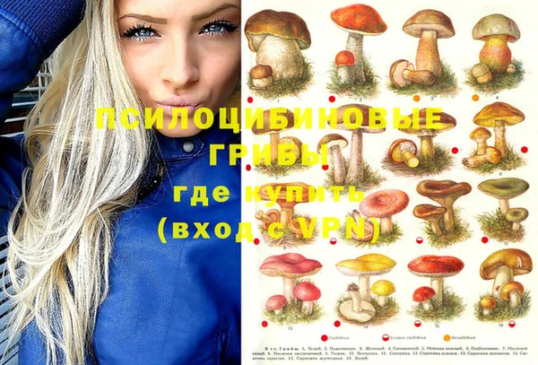 эйфоретик Липки