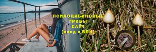 герыч Ладушкин