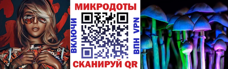 Псилоцибиновые грибы GOLDEN TEACHER  Магадан 